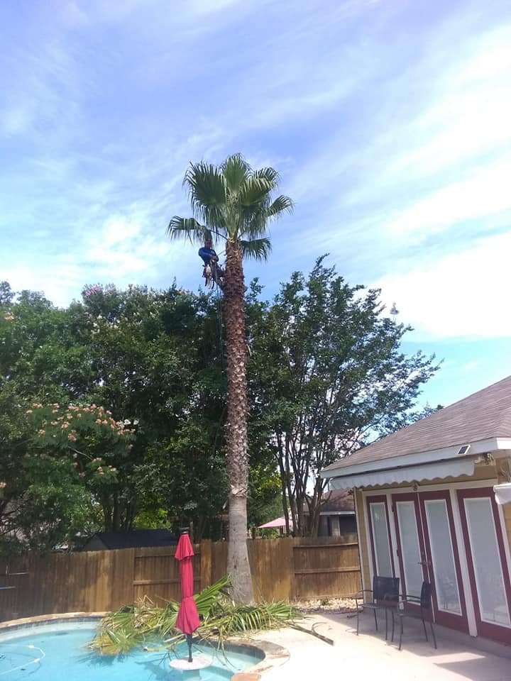 482085743_9224817080933888_6874212133840361902_n