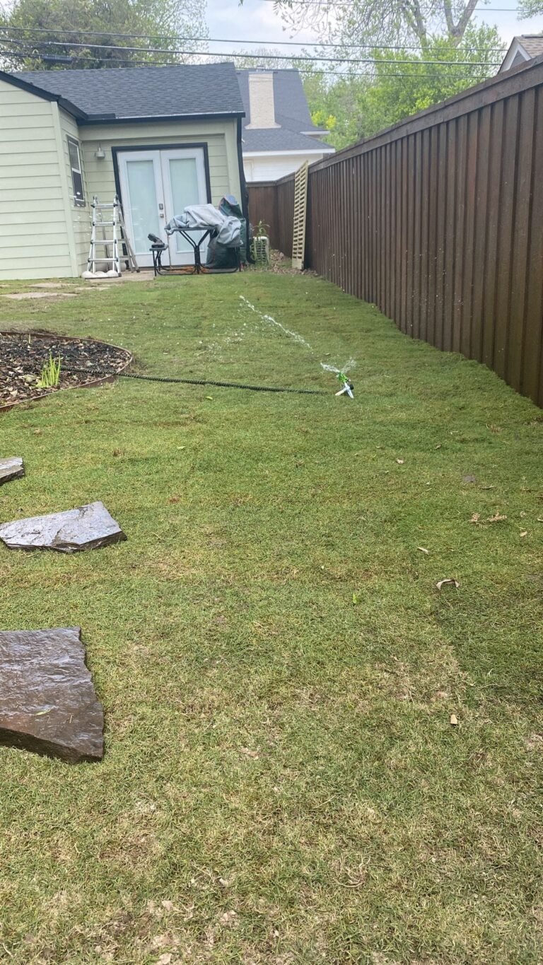 485365487_1479850730122828_3123904536649476493_n