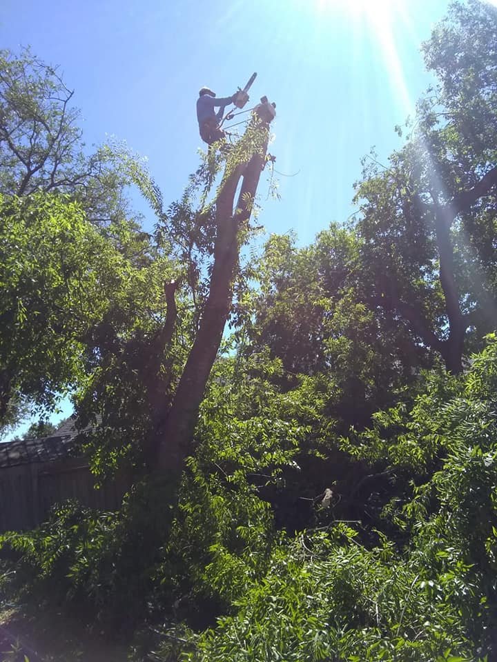 64389587_2260745724007760_4580304612245897216_n