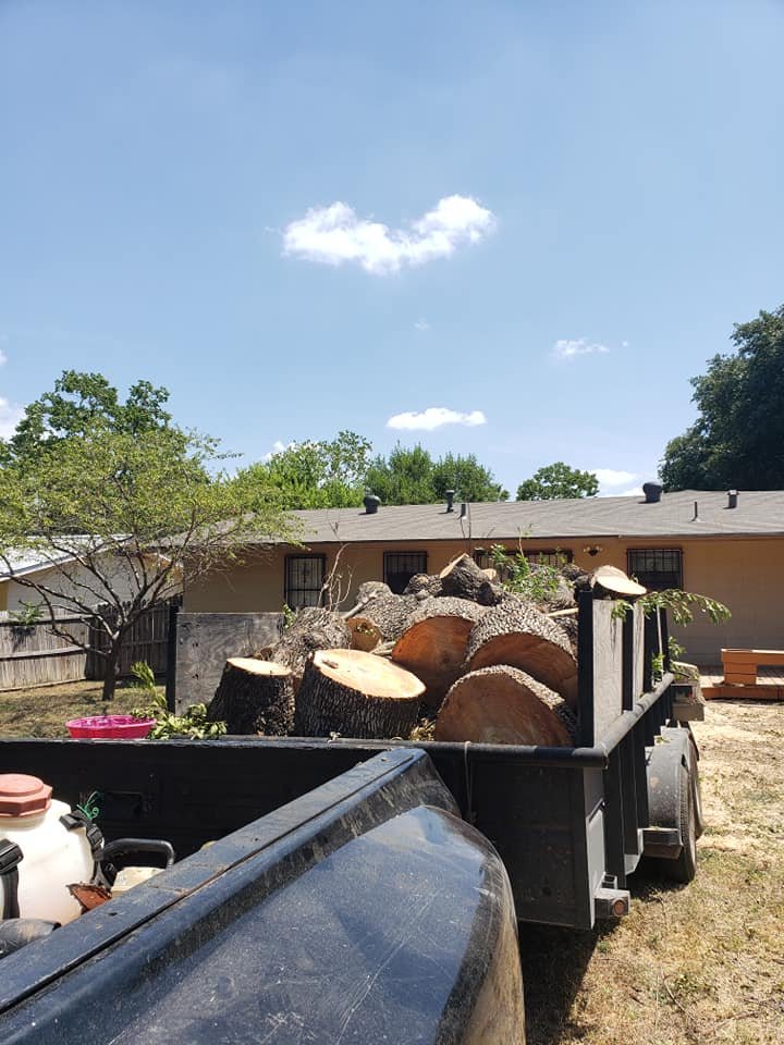 68428076_2365095920239406_4872607399078264832_n