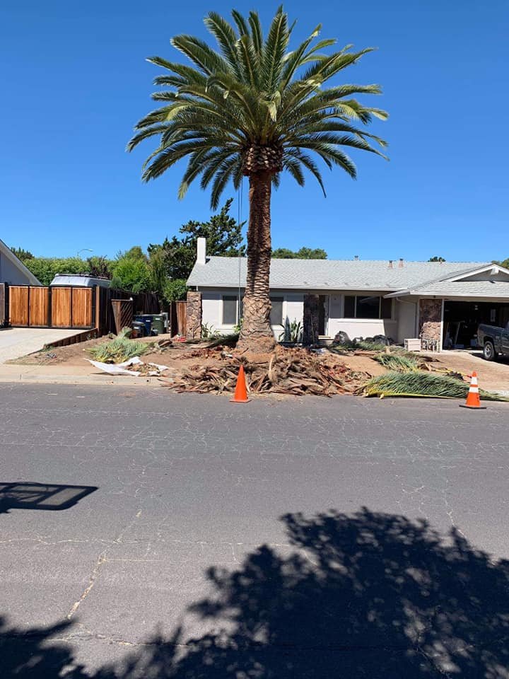 68765382_2373963972685934_536366970602258432_n