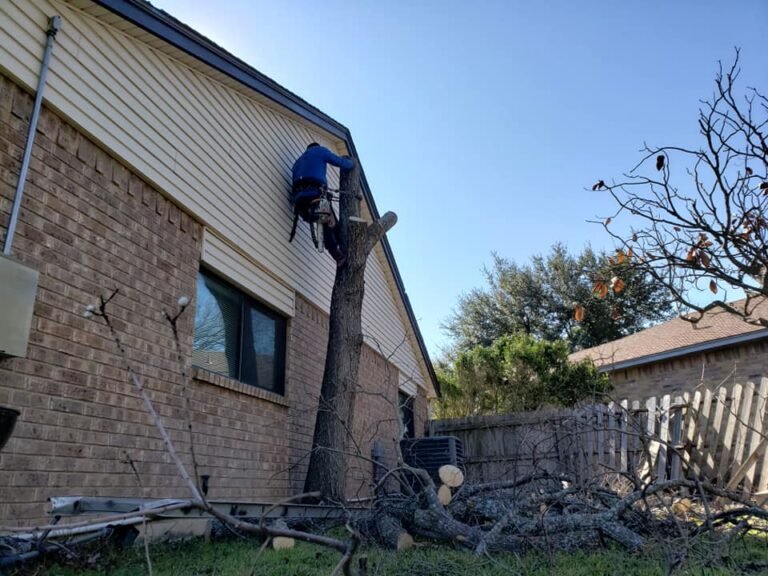 85084802_2730284513720543_5141103530081255424_n