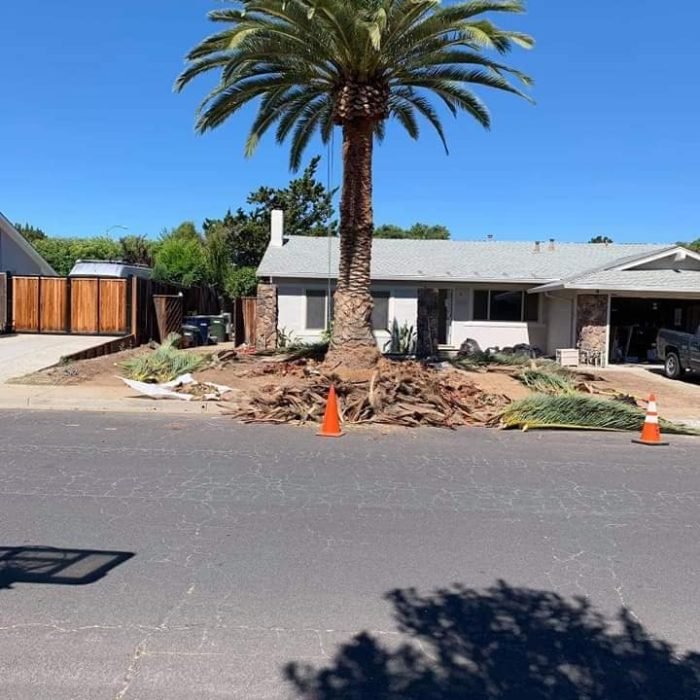 117591077_3173473949401595_8680815424618892925_n