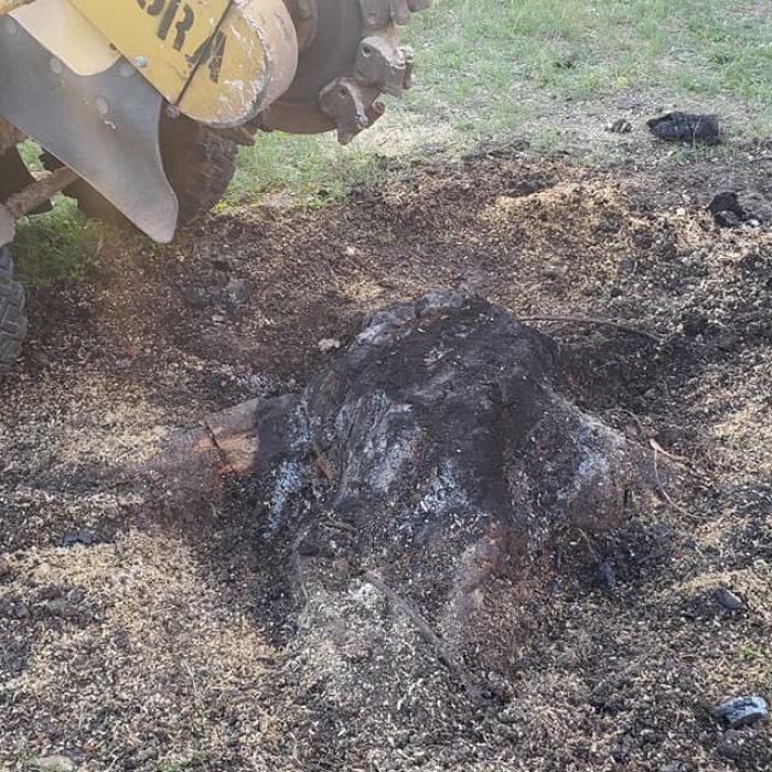 182980294_3922139247868391_1137945482180735137_n