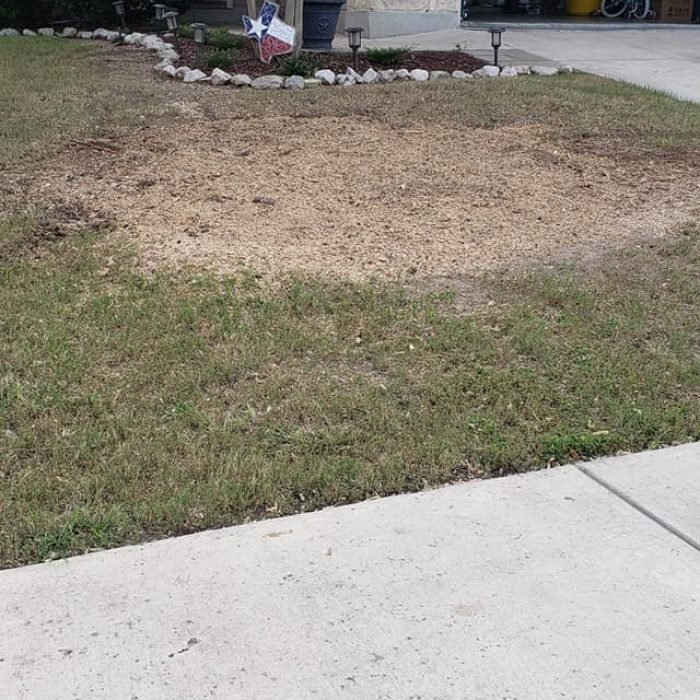 469938620_8769254829823451_7930943762075717727_n