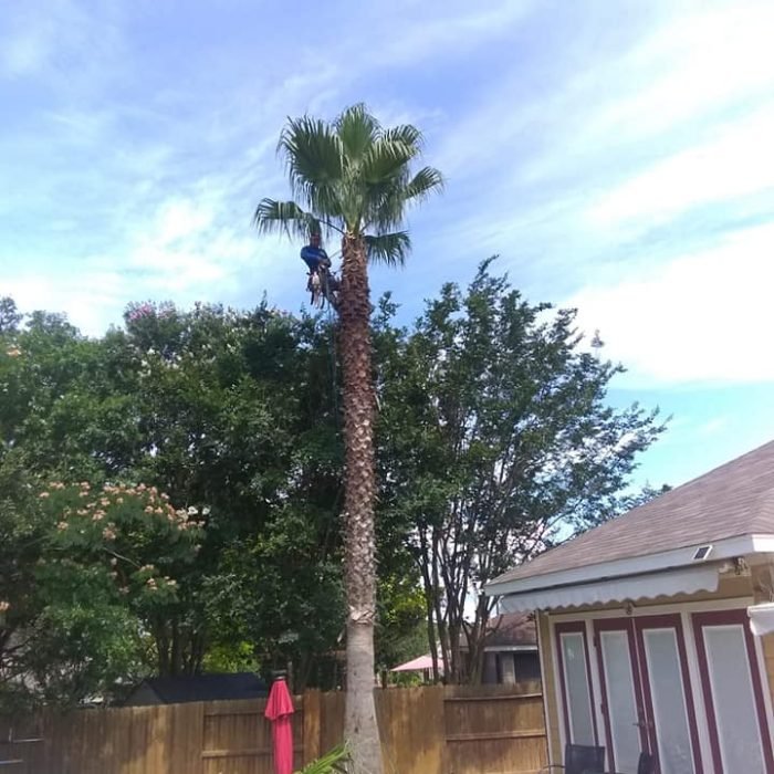 482085743_9224817080933888_6874212133840361902_n