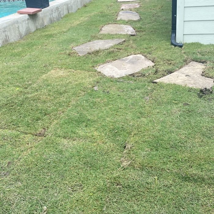 485624919_1479850836789484_6614492112200802890_n