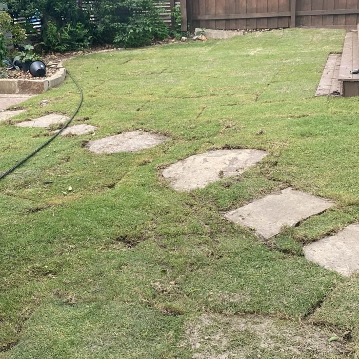 485771843_1479850853456149_2441445640357827926_n