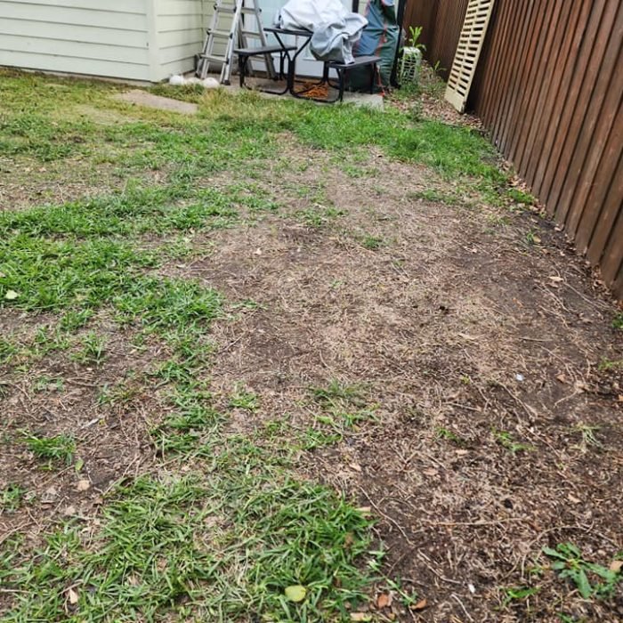 486392469_1479851123456122_117139213088831743_n