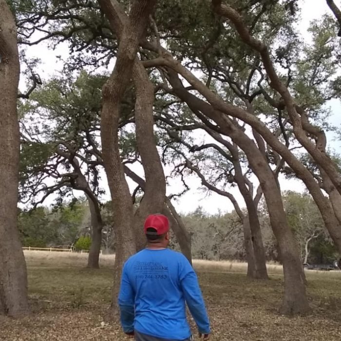 51694330_2069521966463471_3335365503496486912_n