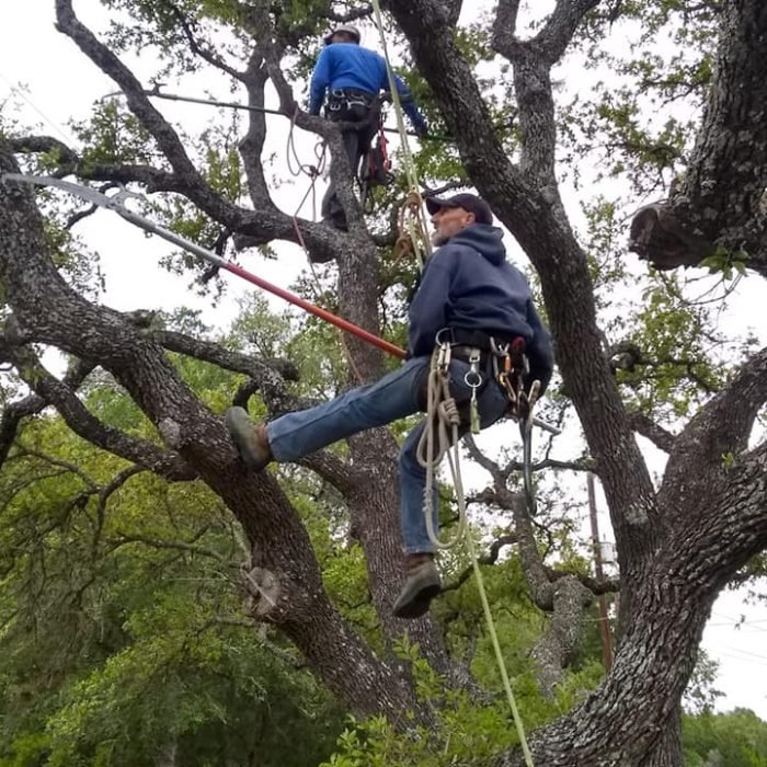 55963131_2142664502482550_7481739266200961024_n