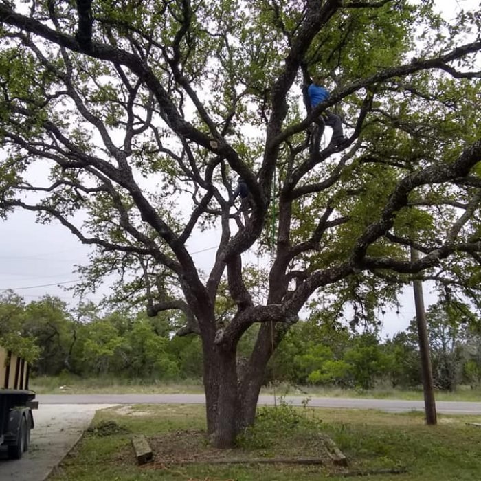 56196752_2142664545815879_5441820647472758784_n