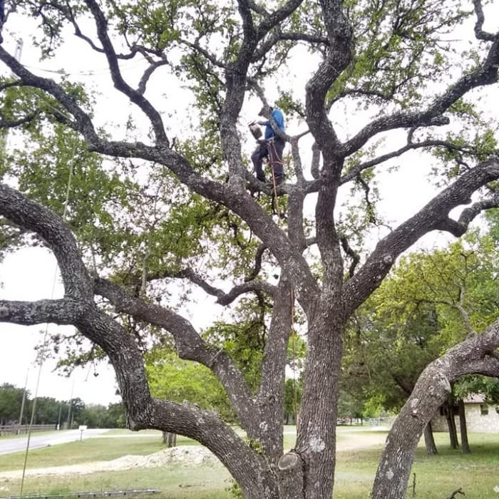 56218187_2142664522482548_8419124782020165632_n