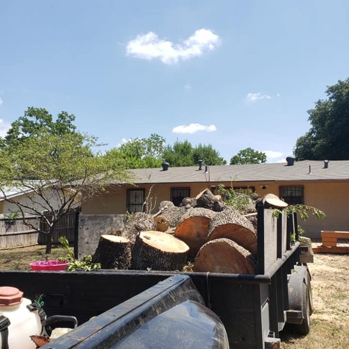 68428076_2365095920239406_4872607399078264832_n