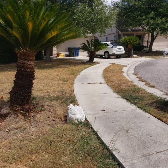 69861012_2411165218965809_2725641260277694464_n