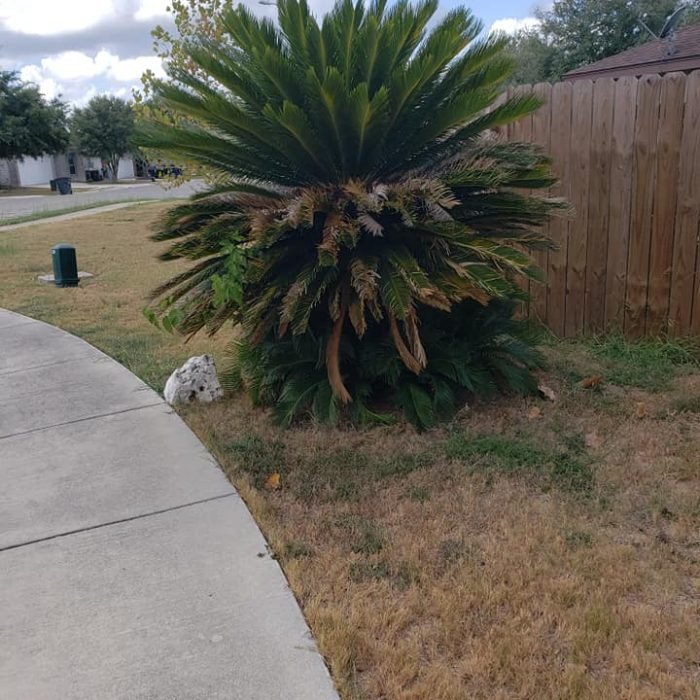 69869076_2411165155632482_6460187526844907520_n