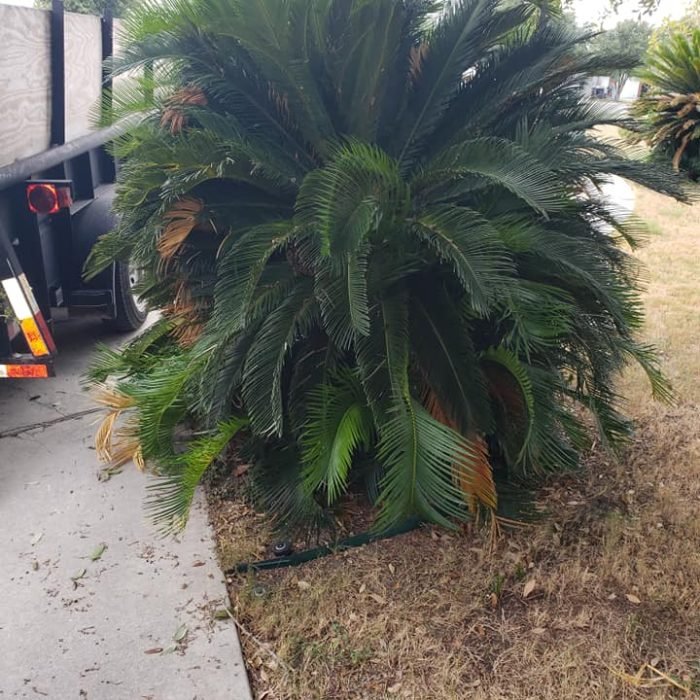 69990981_2411165115632486_8912795658826547200_n