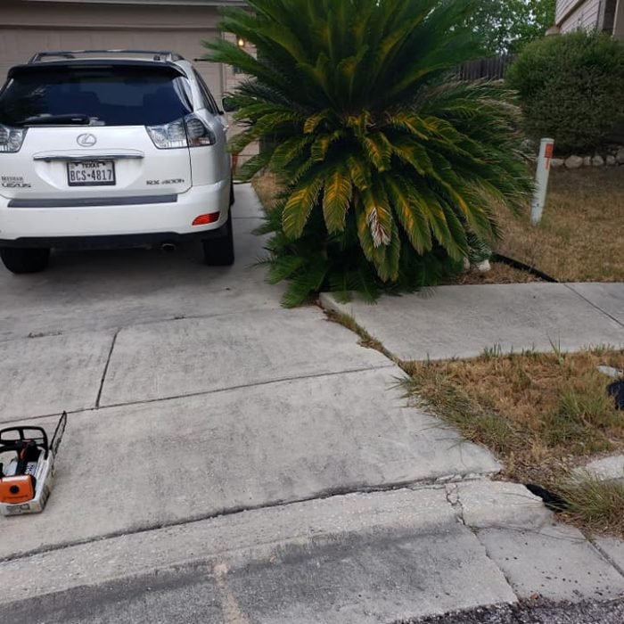 70258534_2411165058965825_1149674487856234496_n