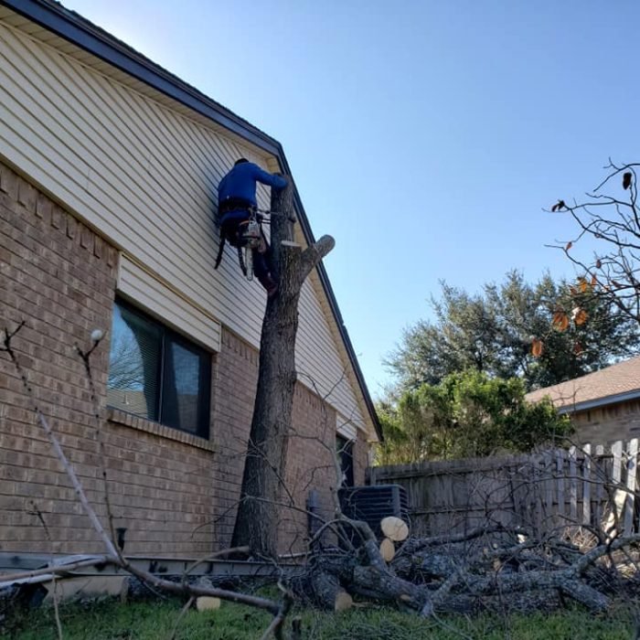 85084802_2730284513720543_5141103530081255424_n